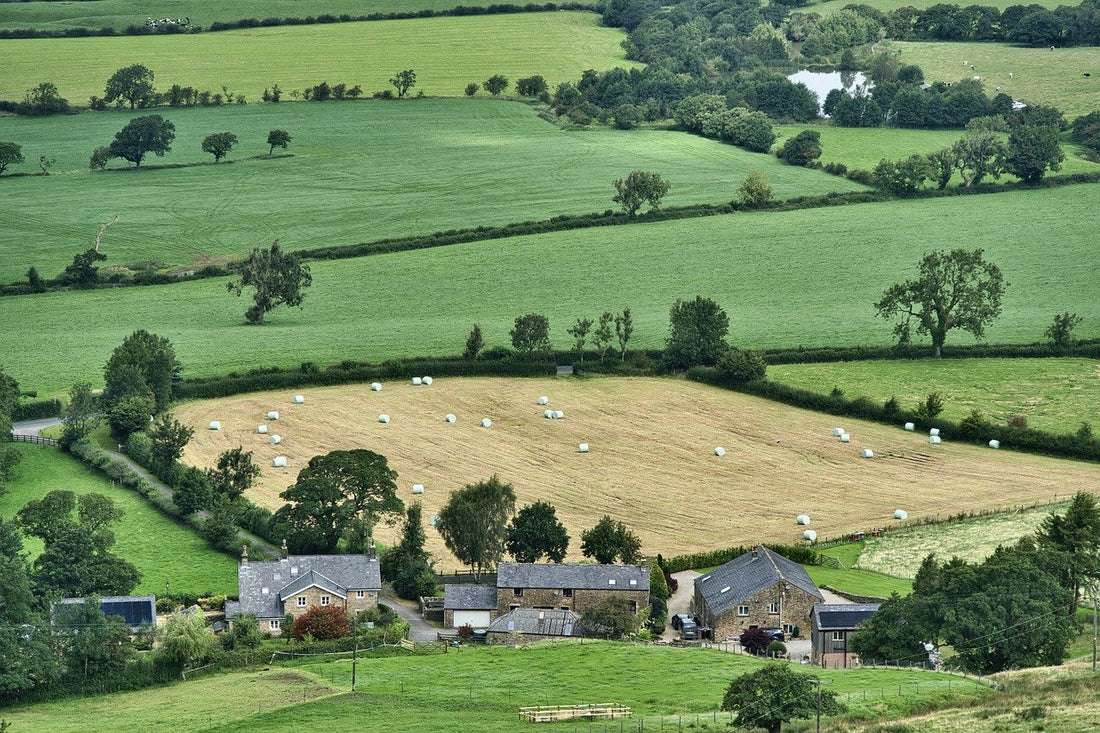 The Benefits of Eating Locally and Ethically Sourced Produce