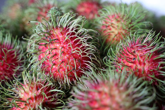 Rambutan